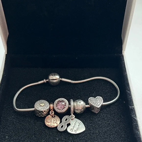 Pandora essence Bracelet with 5 charms - Picture 6 of 8